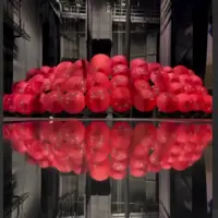 اجرای هماهنگ و جالب با چتر