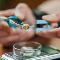 فقط یک دوز سیلوسایبین برای تغییر ارتباطات عصبی مغز کافی است