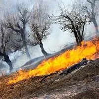 آتش‌سوزی‌های لرستان؛ کاهش خسارت اما زخم‌های عمیق بر طبیعت