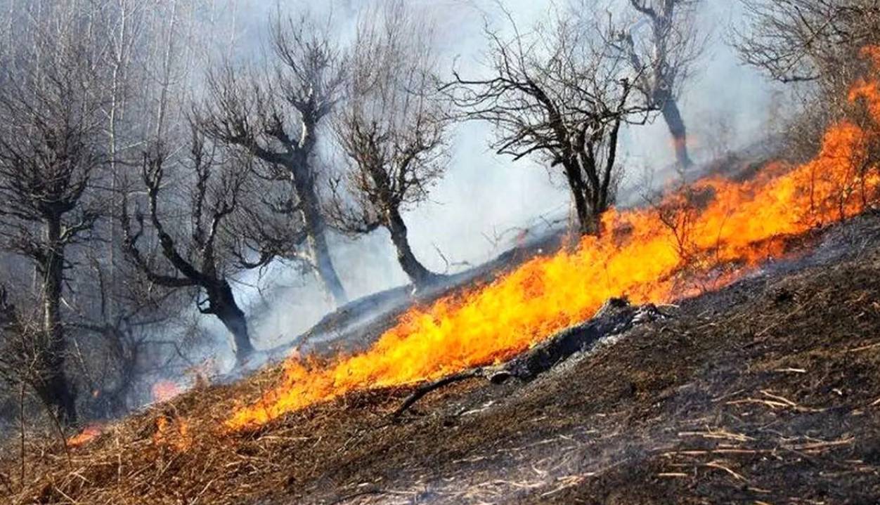آتشسوزیهای لرستان؛ کاهش خسارت اما زخمهای عمیق بر طبیعت