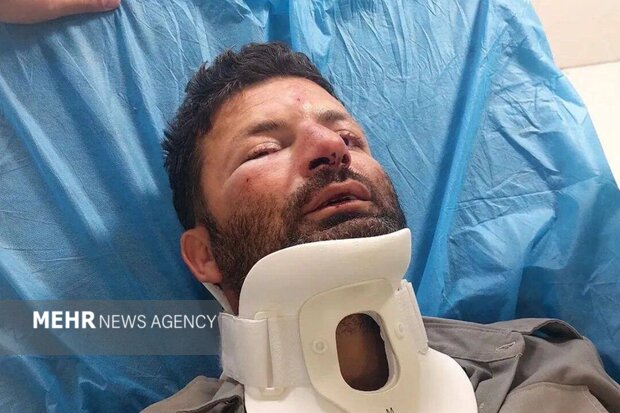 حمله ۳ متخلف به محیط‌بان در شمال تهران