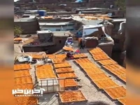 «خرو» شهر پشت بام های طلایی!