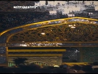 استوری/ ضامنم شاه خراسان بشود خوب‌تر است 