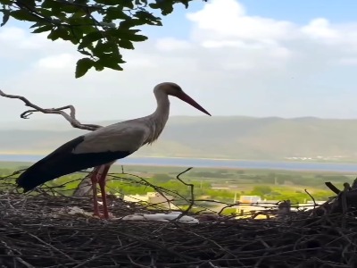 روستای لک لک ها در کردستان 