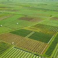 تثبیت بیش از ۷ هزار هکتار اراضی غیر ملی در خوزستان
