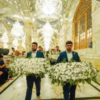 گلباران ضریح مطهر علوی هم‌زمان با ایام ولادت پیامبر(ص)