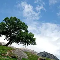افزایش سرعت باد در همدان