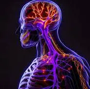 چگونه نانوداروها به بیماری‌های سیستم عصبی مرکزی کمک می‌کنند؟
