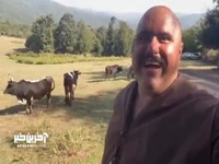 کلیپ بامزه ی کاظم نوربخش، سلمانِ سریال نون خ