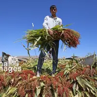  ​​​​​​​جارو بافی؛ هنری کهن در عصر مدرن  