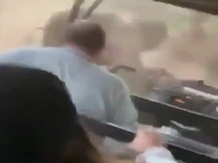خودرو با ورود به قلمرو فیل ها باعث عصبانیت و حمله فیل ارشدتر شد!   