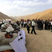 جاسازی مرفین در بسته‌های گیاهان دارویی
