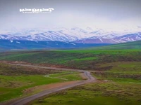 «قالی کوه» در الیگودرز لرستان 