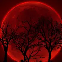 پاسخ دینی به شایعات پس از ماه خونین