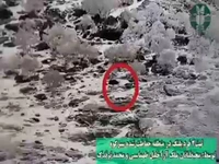  ثبت تصاویر دو قلاده پلنگ ایرانی در منطقه حفاظت شده سبزکوه