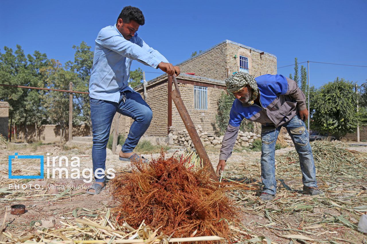  ​​​​​​​جارو بافی؛ هنری کهن در عصر مدرن  