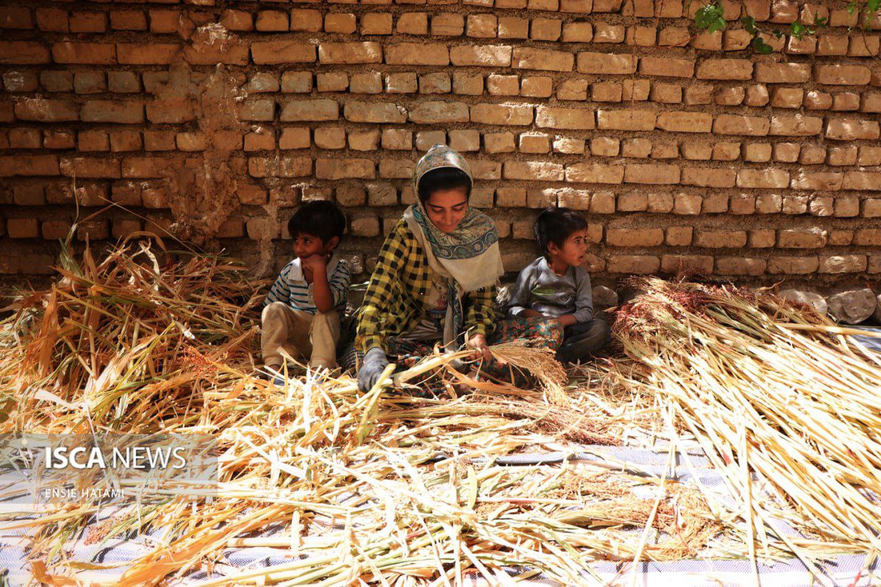 هنر بومی «جاروبافی» در روستای ملاحسن خراسان شمالی