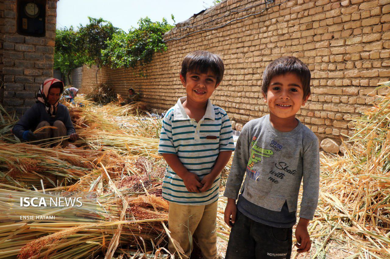هنر بومی «جاروبافی» در روستای ملاحسن خراسان شمالی