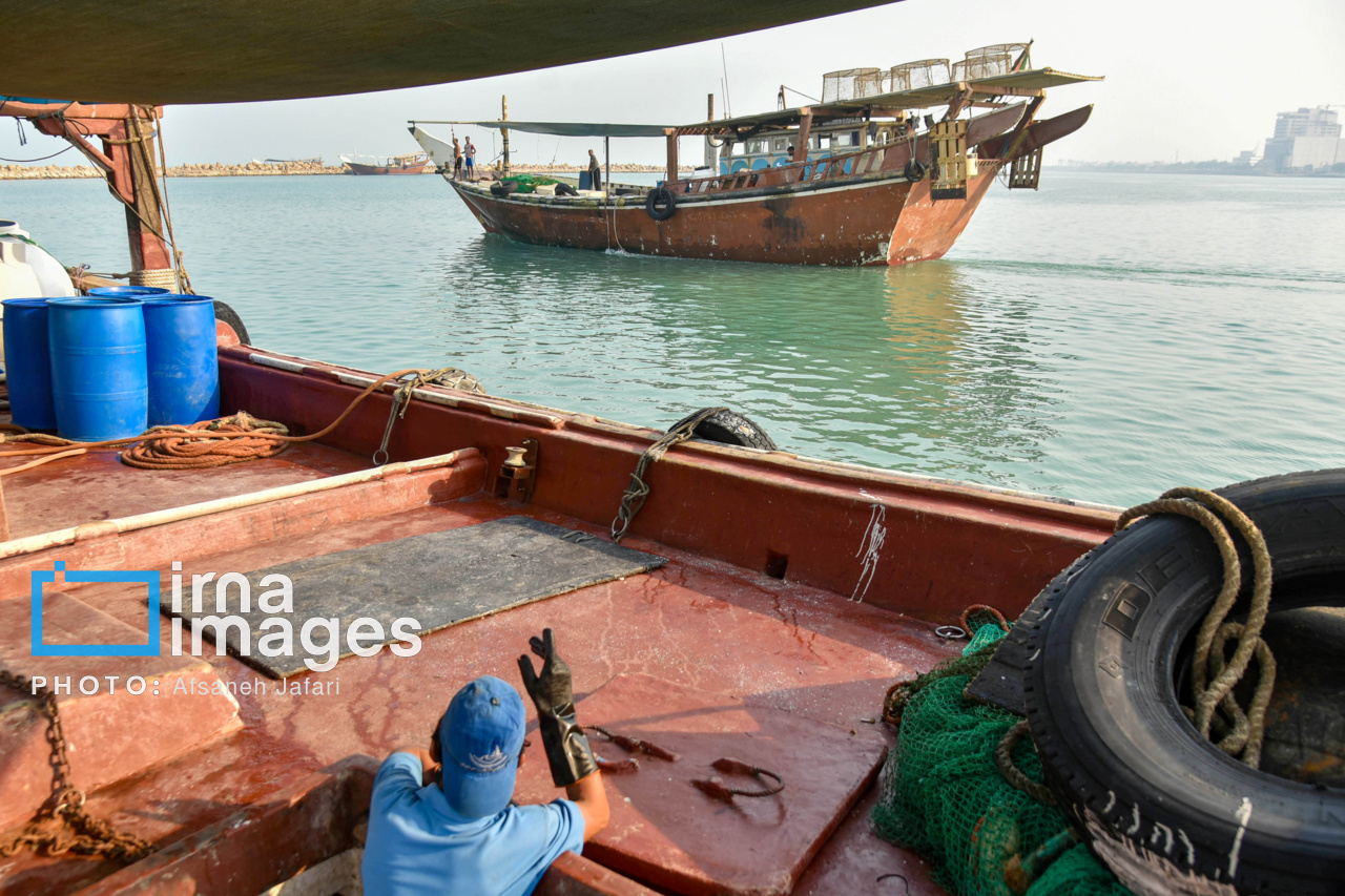 فروش میگو روی لنج