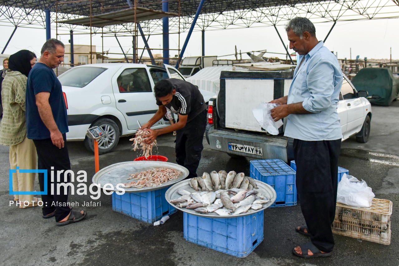 فروش میگو روی لنج