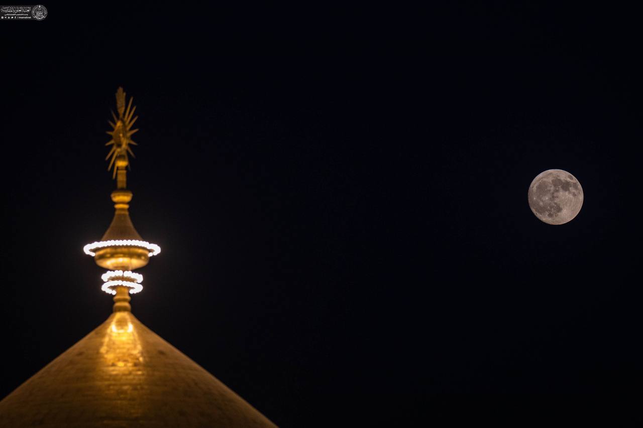  تصاویری زیبا از حرم امیرالمومنین (ع) 