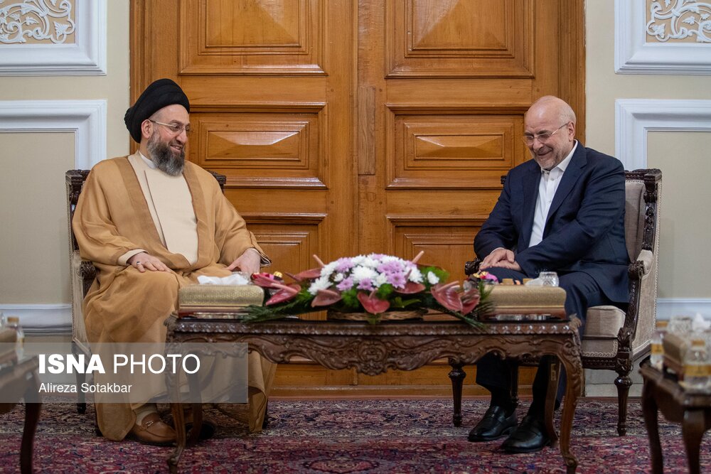عکس/ دیدار سیدعمار حکیم با رئیس مجلس شورای اسلامی