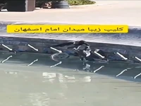 صحنه‌ای زیبا در میدان امام اصفهان