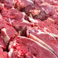 واقعیت بازار گوشت؛ ثباتی در کار نیست