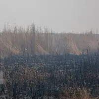 اگر باران به «هور» ببارد...