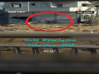 صهیونیست‌ها حتی به حیوانات در غزه هم رحم نمی‌کنند