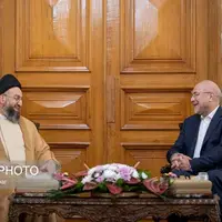 عکس/ دیدار سیدعمار حکیم با رئیس مجلس شورای اسلامی
