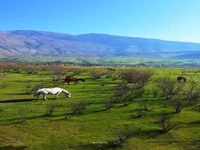 دشت سوسن در خوزستان