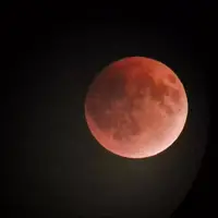 عکس/ ماه خونین امشب در مشهد  
