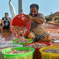 ​​​​​​​فروش میگو روی لنج  
