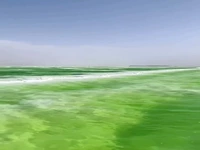 دریاچه نمک زمردی در چین