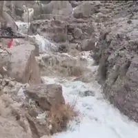 خسارت باران به باغ‌های خرما در نقاطی از استان بوشهر