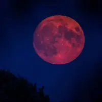 اقامه نماز آیات هم‌زمان با وقوع پدیده ماه‌گرفتگی در حرم رضوی