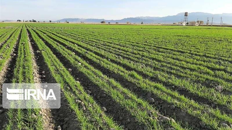 استاندار: افزایش ارزش افزوده کشاورزی اردبیل نیازمند تغییر الگوی کشت است