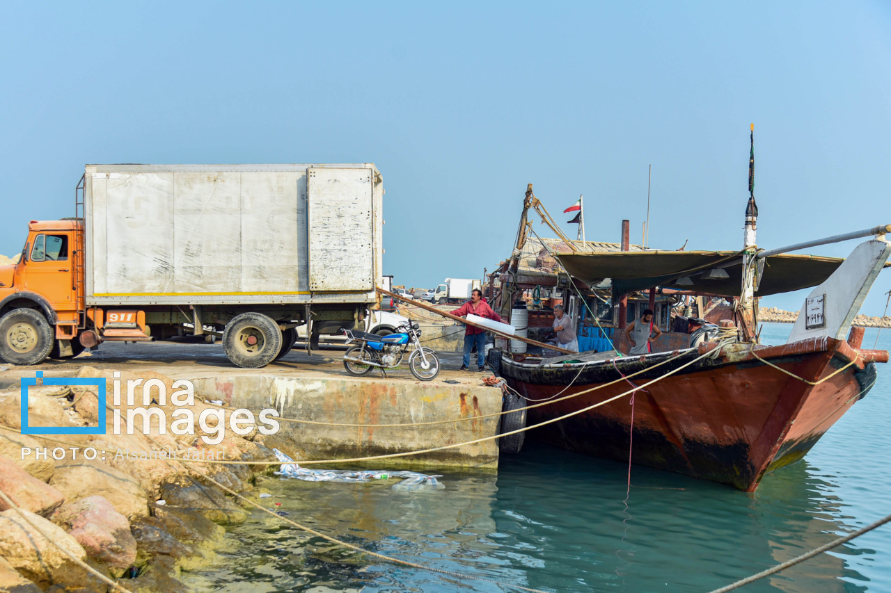 فروش میگو روی لنج