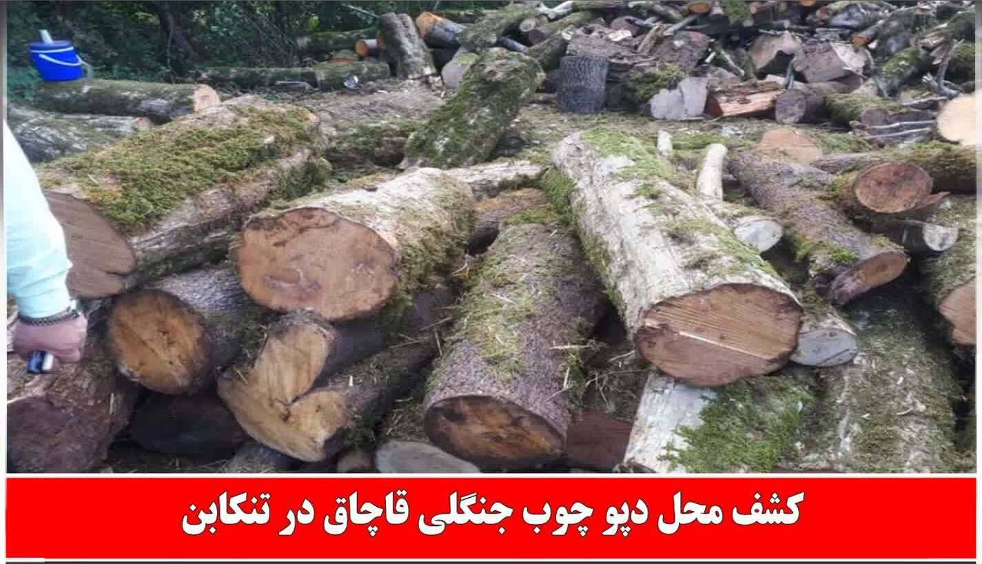 کشف محل دپو چوب جنگلی قاچاق در تنکابن