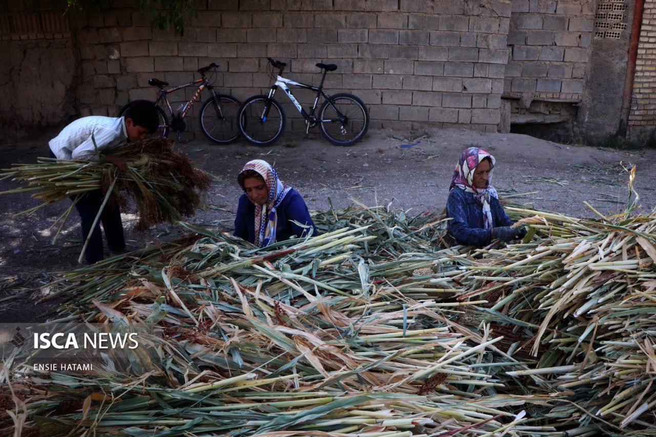 هنر بومی «جاروبافی» در روستای ملاحسن خراسان شمالی