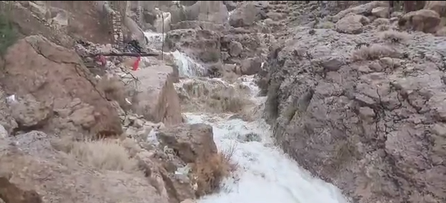 خسارت باران به باغهای خرما در نقاطی از استان بوشهر