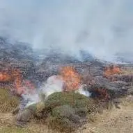 حریق در مراتع خراسان جنوبی