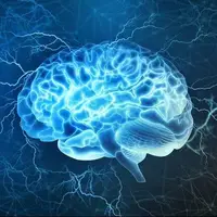کلید طلاییِ سلامت مغز