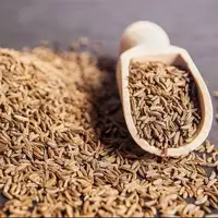 زیره، امیدی تازه برای بهبود باروری در مردان مبتلا به دیابت
