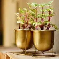 با بطری شیشه ای برای منزلت دکور بساز
