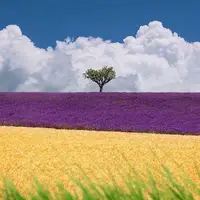 وقتی خدا دست به قلم می‌شود