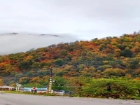 جاده زیبای پاییزی
