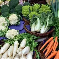 فوایدی که سبزیجات برای بدن دارند