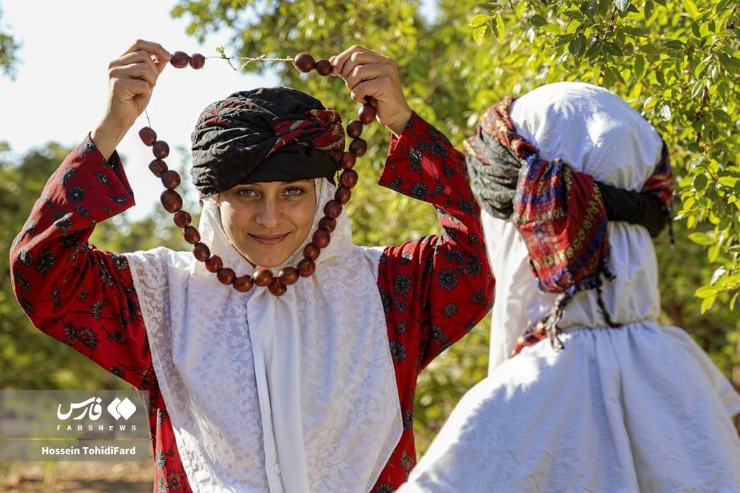  برداشت عناب در دل کویری خراسان جنوبی  